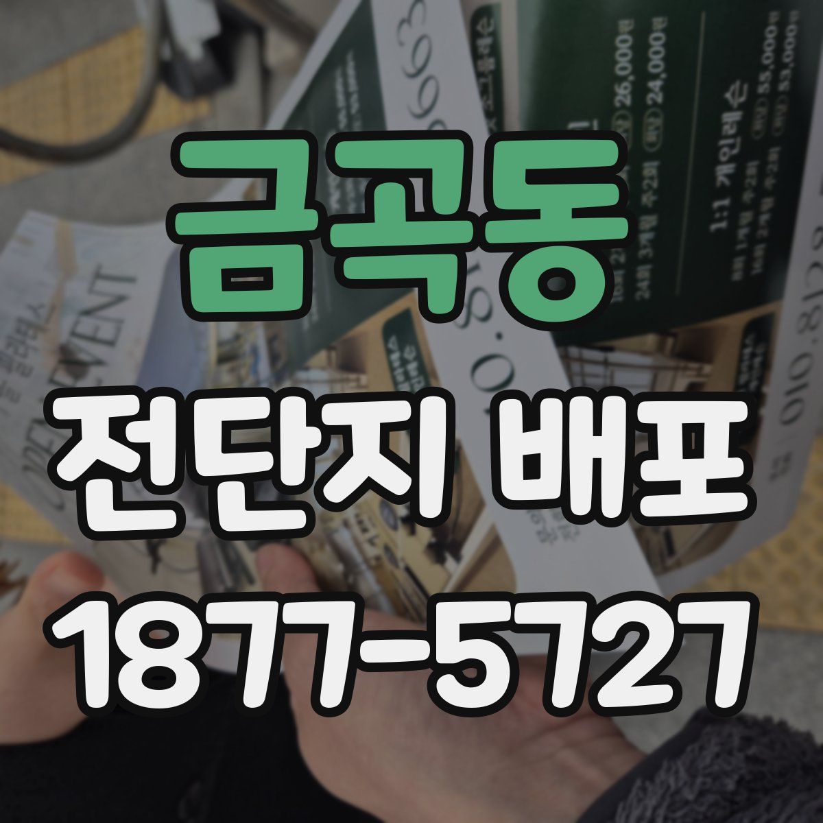 금곡동 전단지 배포