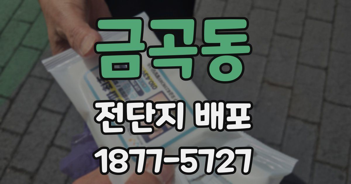 금곡동 전단지 배포