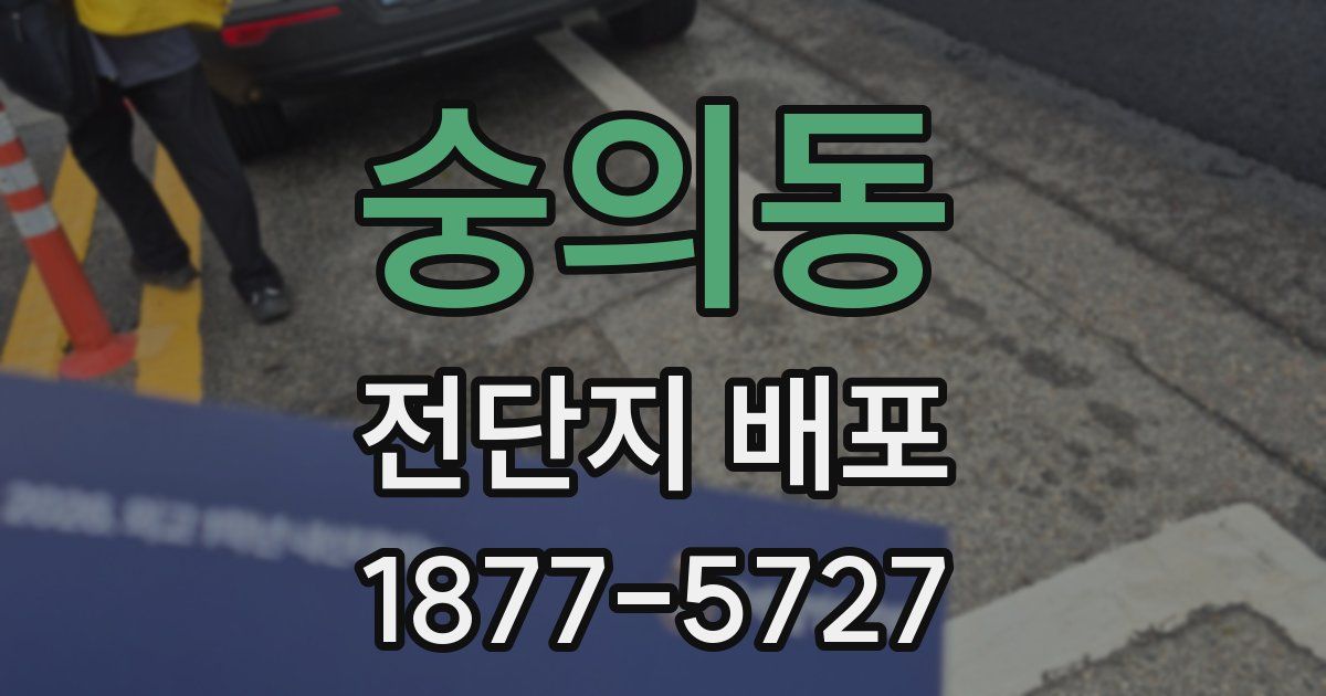 숭의동 전단지 배포