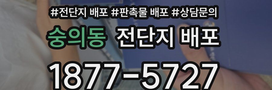 숭의동 전단지 배포