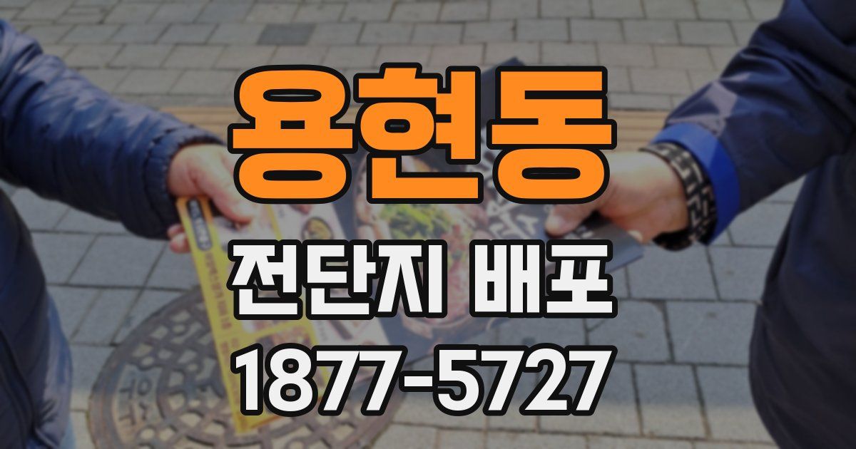 용현동 전단지 배포