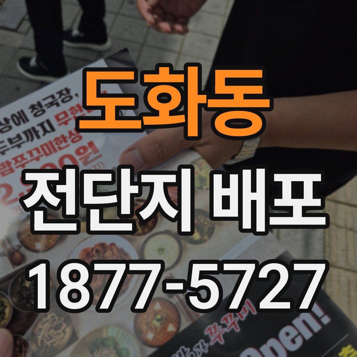도화동 전단지 배포