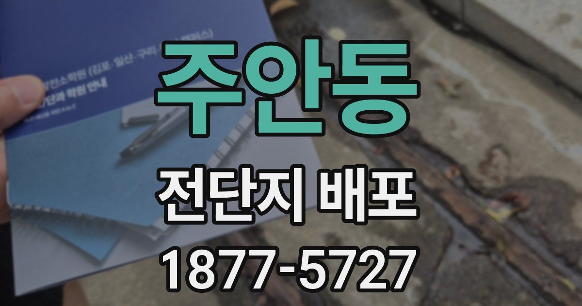 주안동 전단지 배포