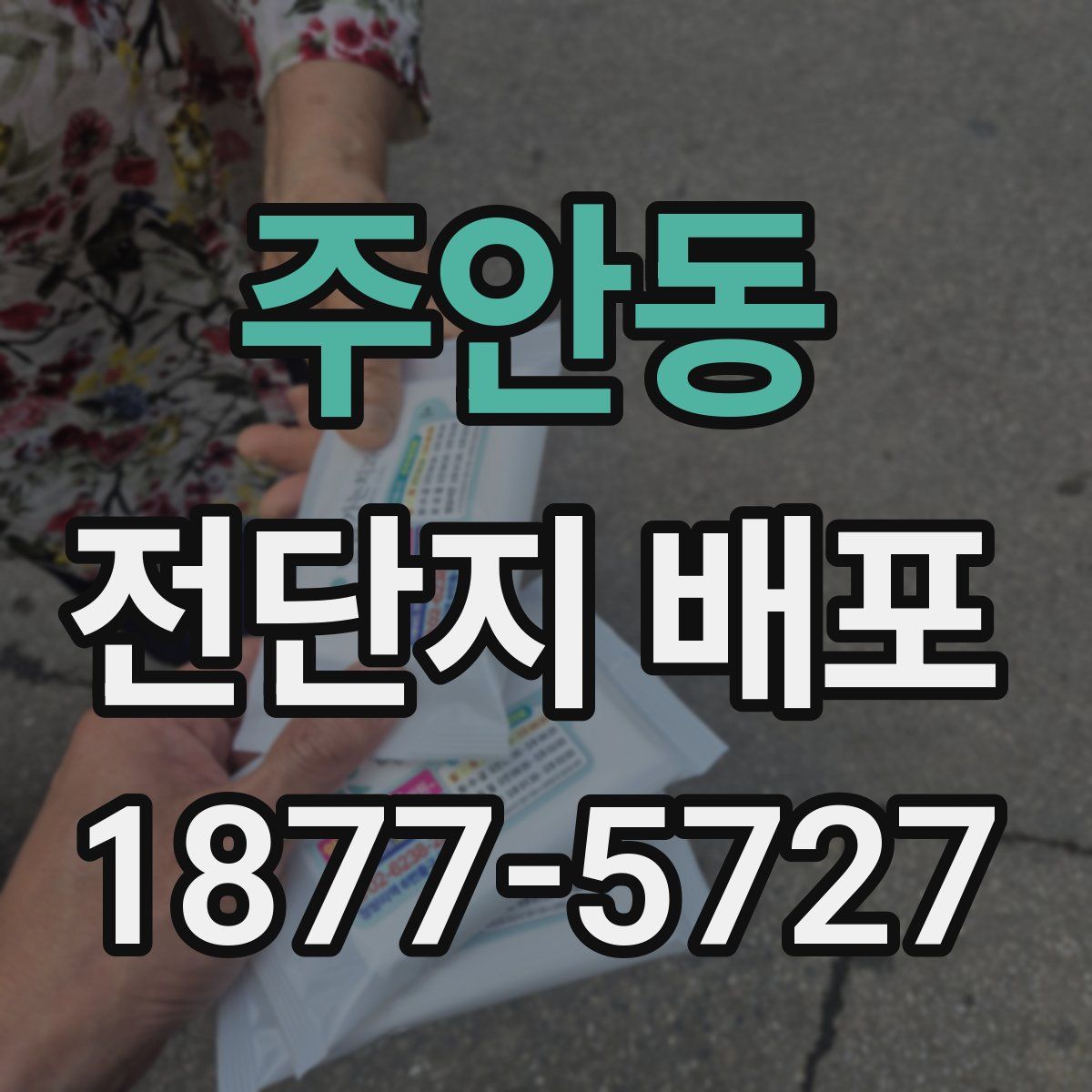 주안동 전단지 배포