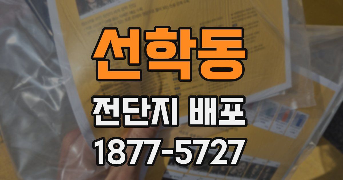 선학동 전단지 배포