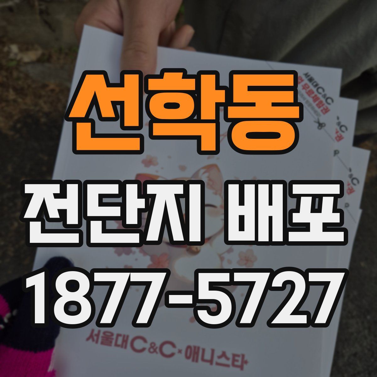 선학동 전단지 배포