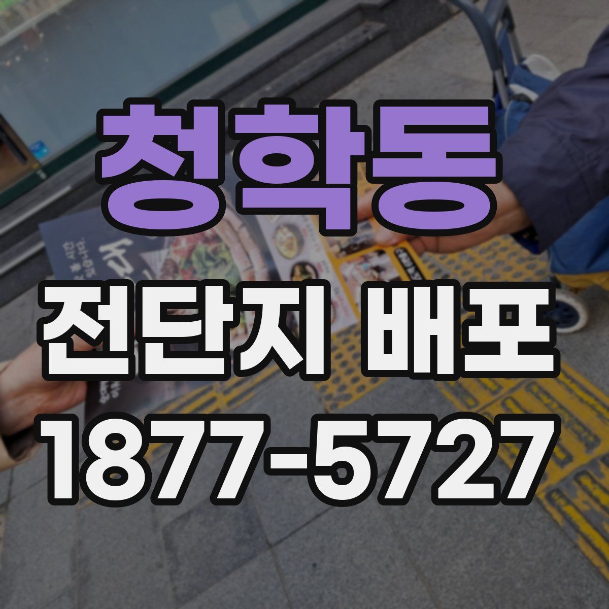 청학동 전단지 배포