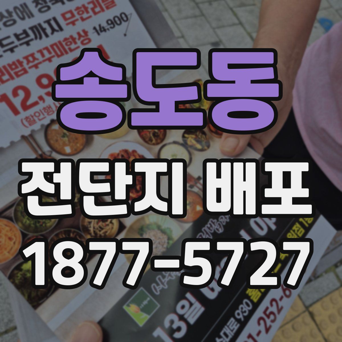 송도동 전단지 배포