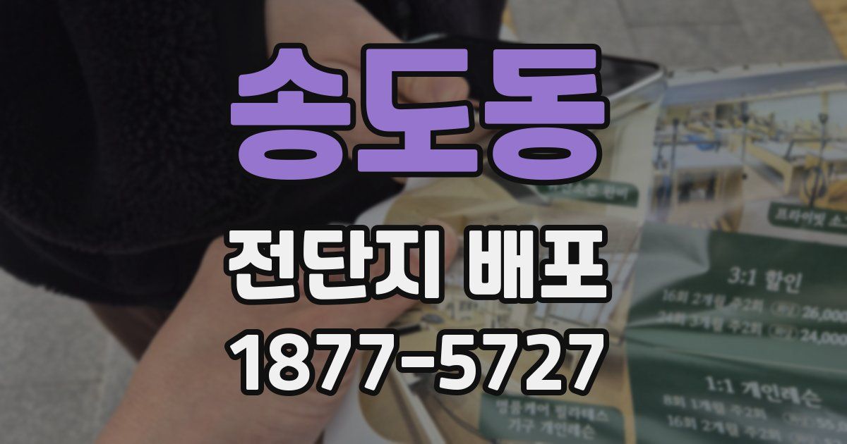 송도동 전단지 배포