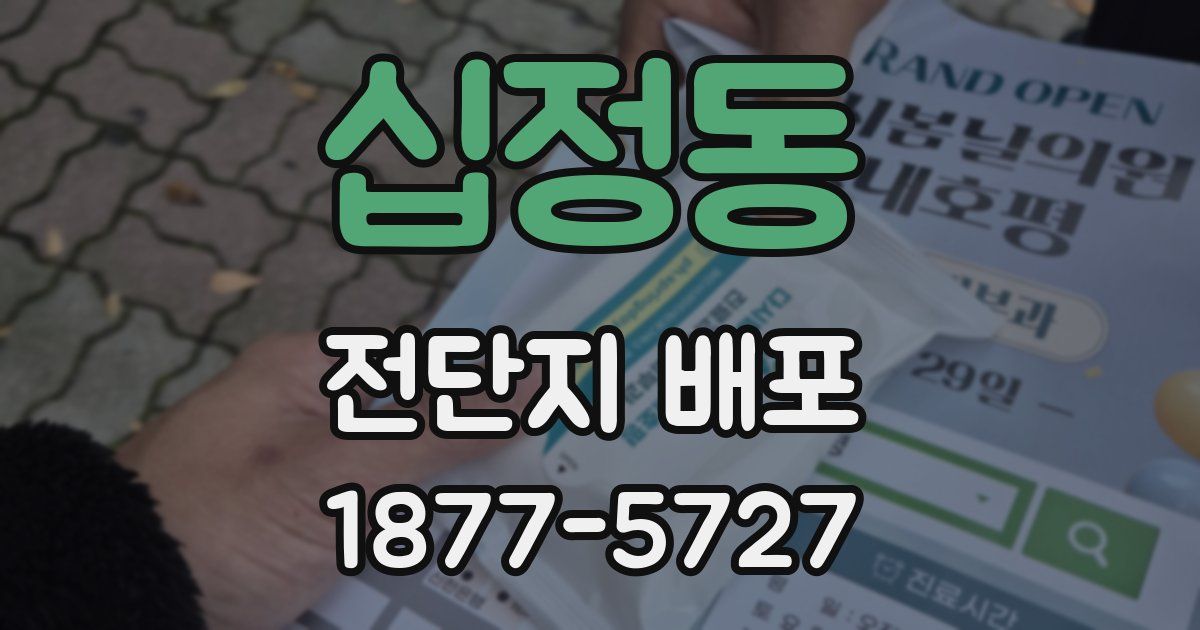 십정동 전단지 배포