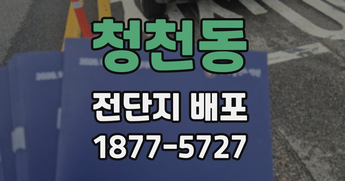 청천동 전단지 배포