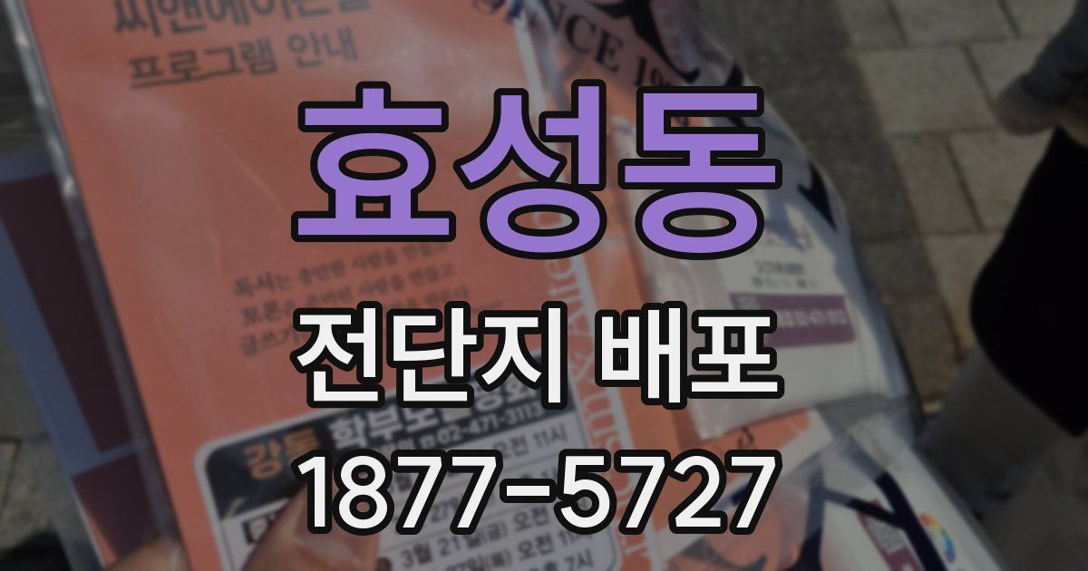 효성동 전단지 배포