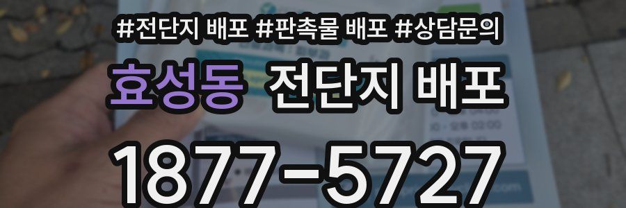 효성동 전단지 배포