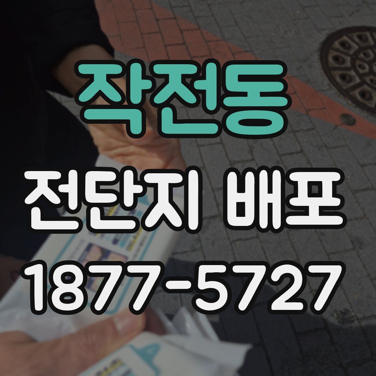작전동 전단지 배포
