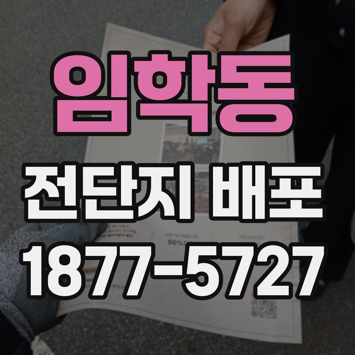 임학동 전단지 배포