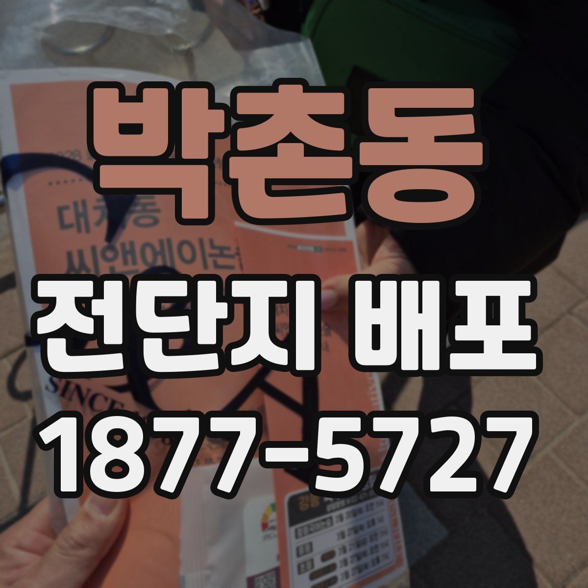 박촌동 전단지 배포