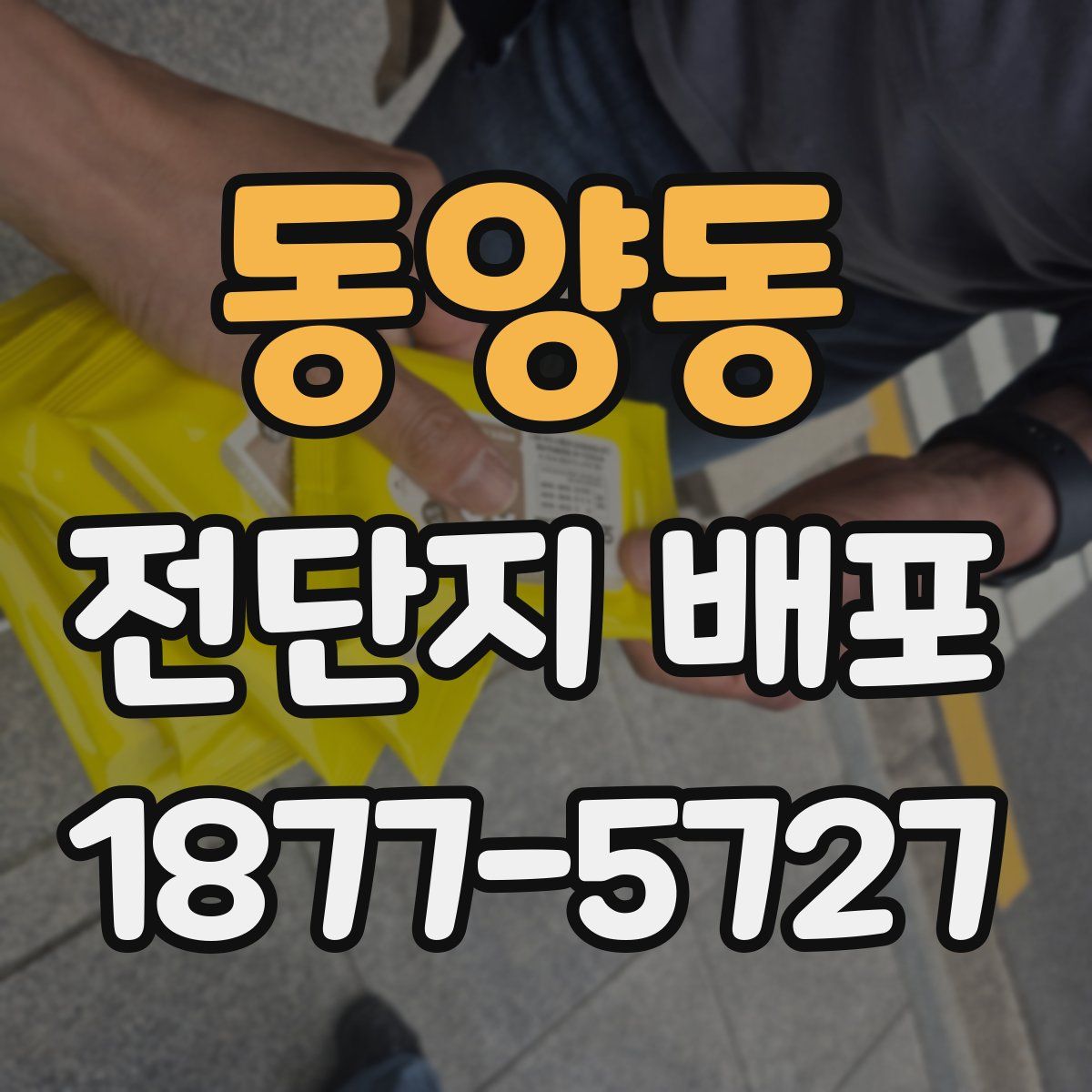 동양동 전단지 배포