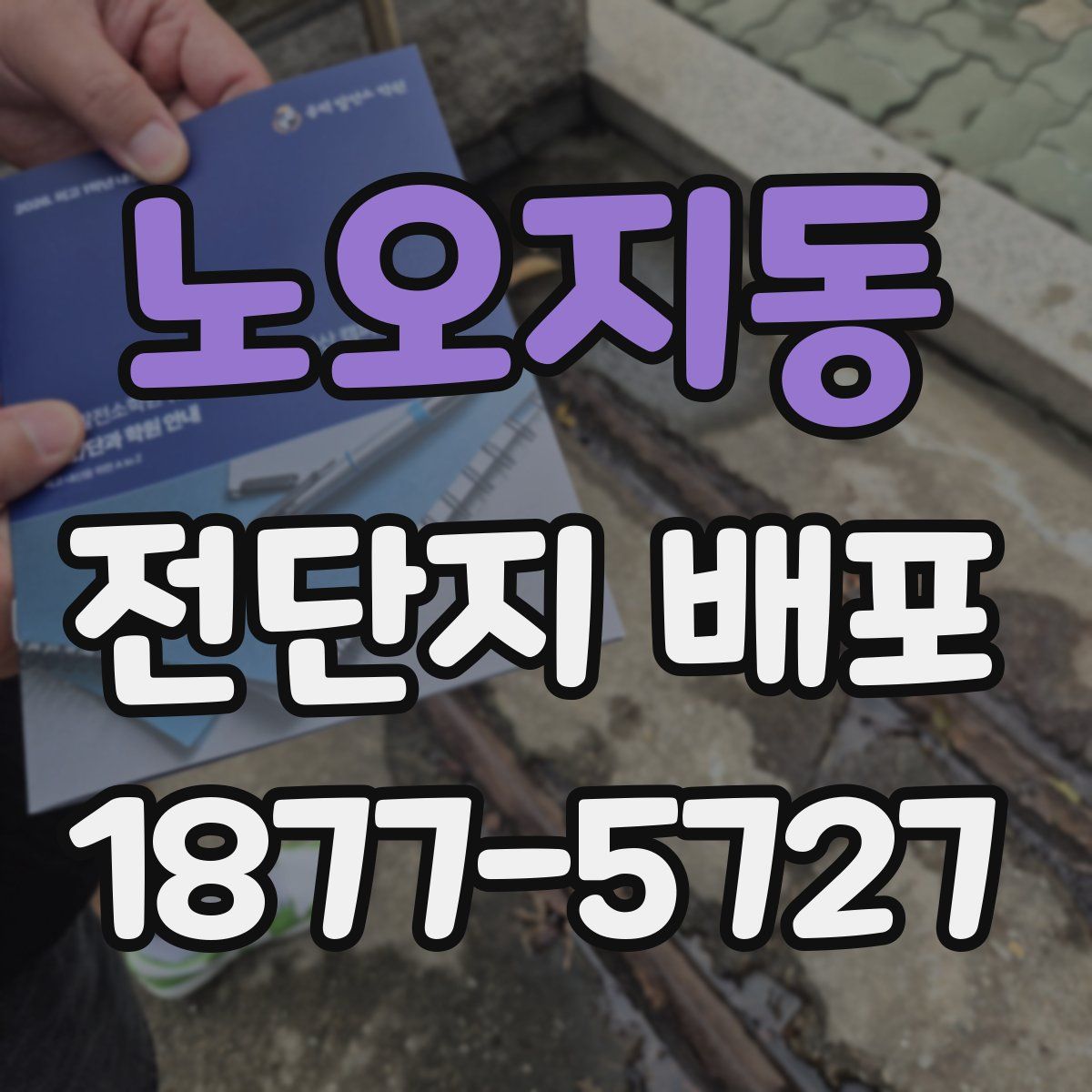 노오지동 전단지 배포
