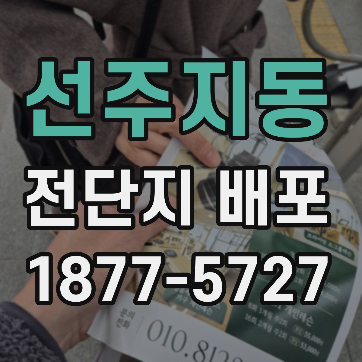 선주지동 전단지 배포