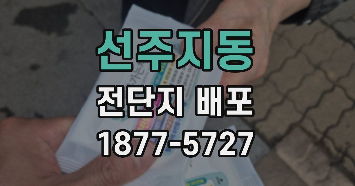 선주지동 전단지 배포