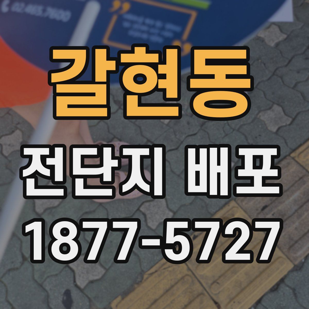 갈현동 전단지 배포