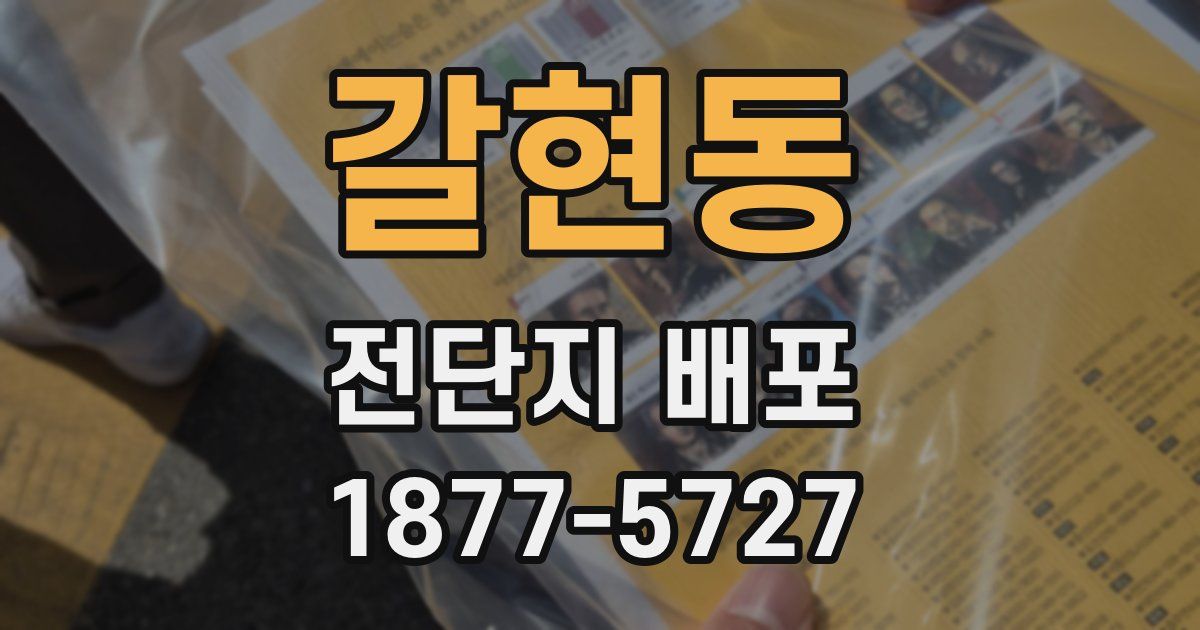 갈현동 전단지 배포