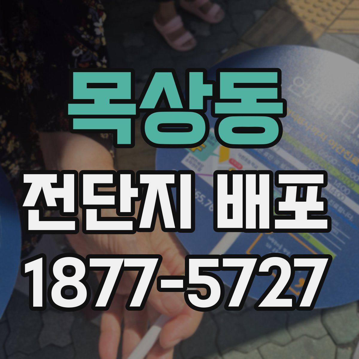 목상동 전단지 배포