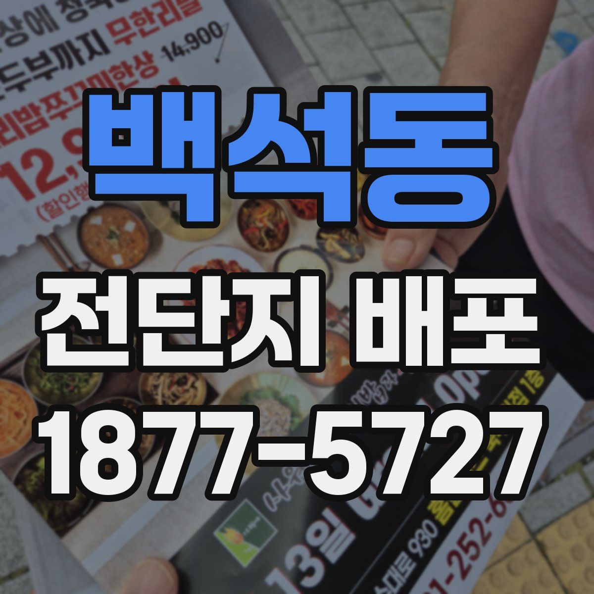 백석동 전단지 배포