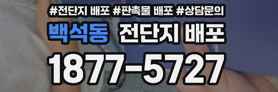 백석동 전단지 배포