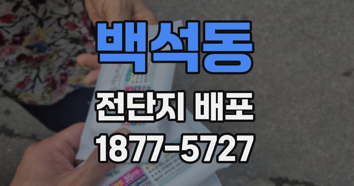 백석동 전단지 배포