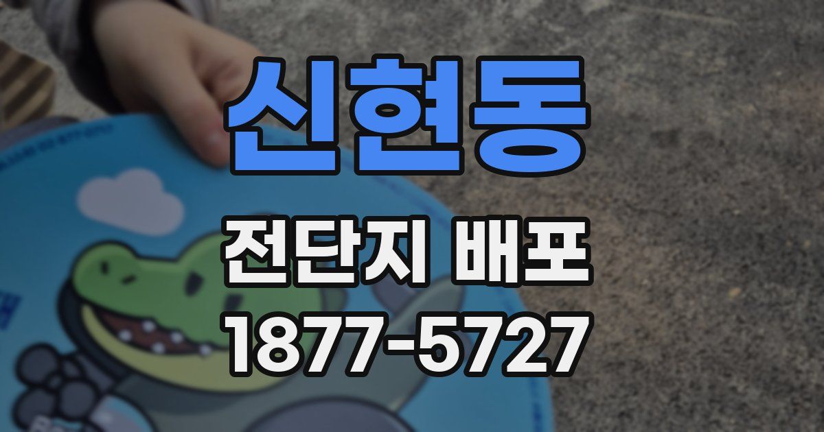신현동 전단지 배포