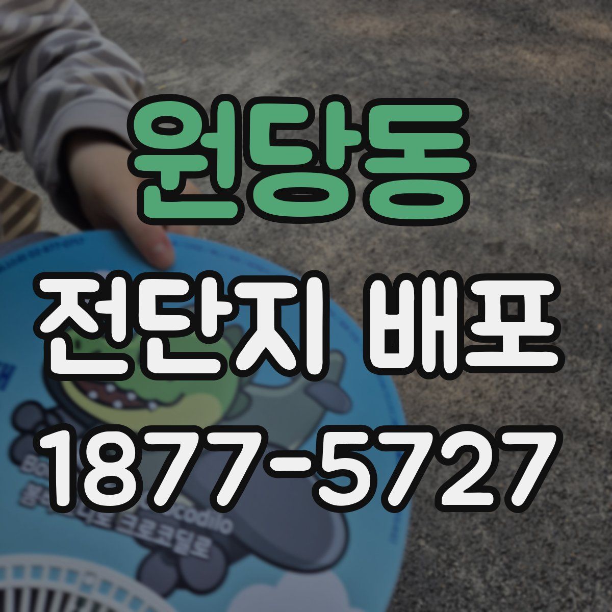 원당동 전단지 배포
