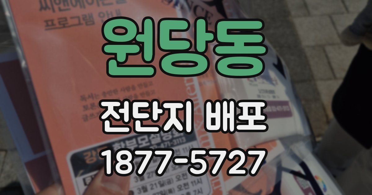 원당동 전단지 배포