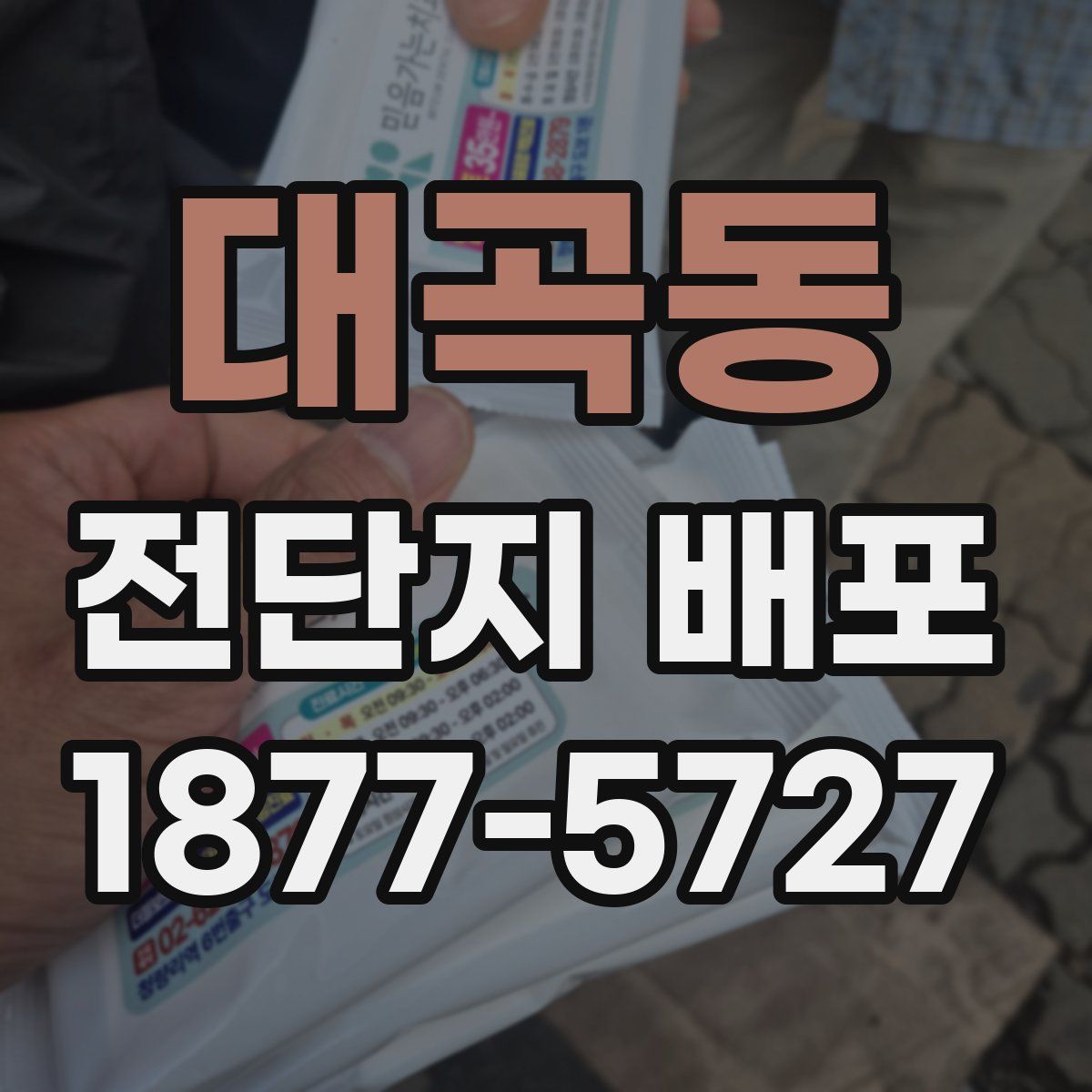 대곡동 전단지 배포