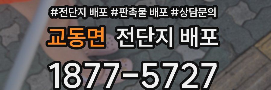 교동면 전단지 배포