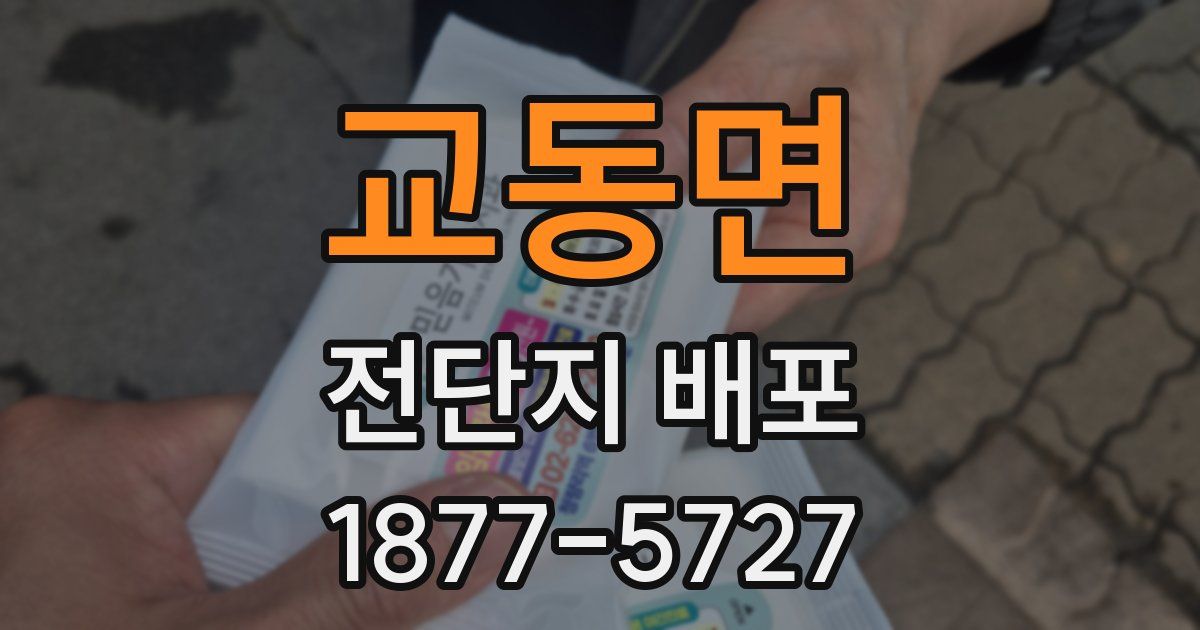 교동면 전단지 배포