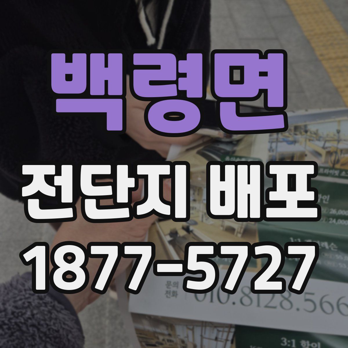 백령면 전단지 배포
