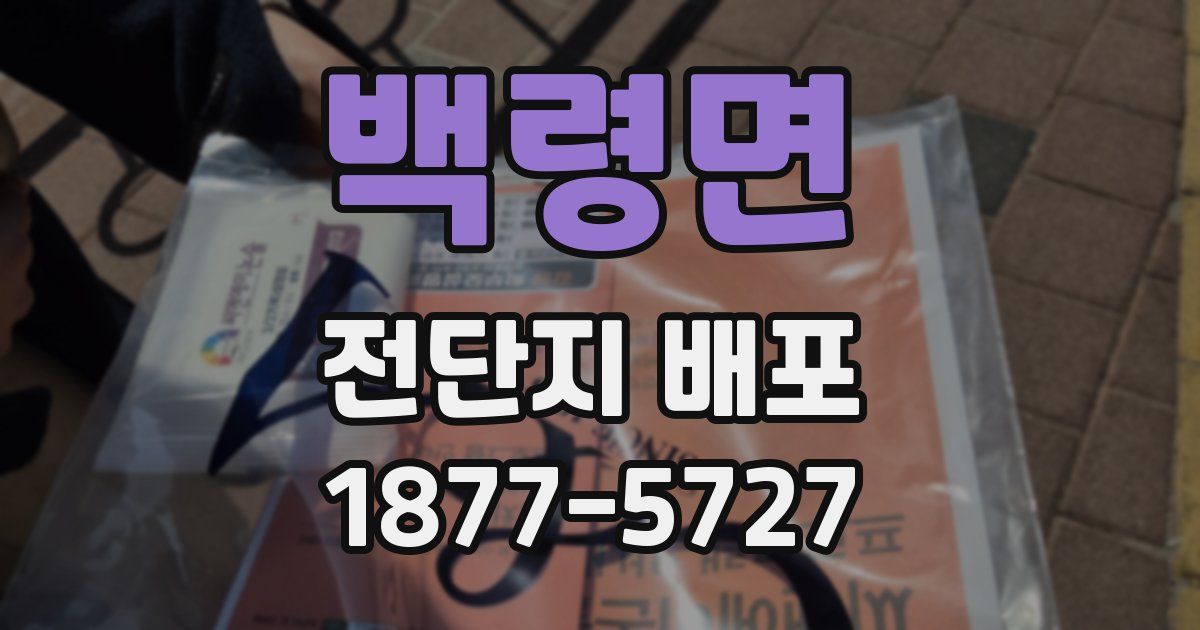 백령면 전단지 배포