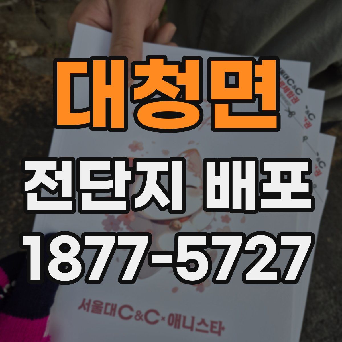 대청면 전단지 배포