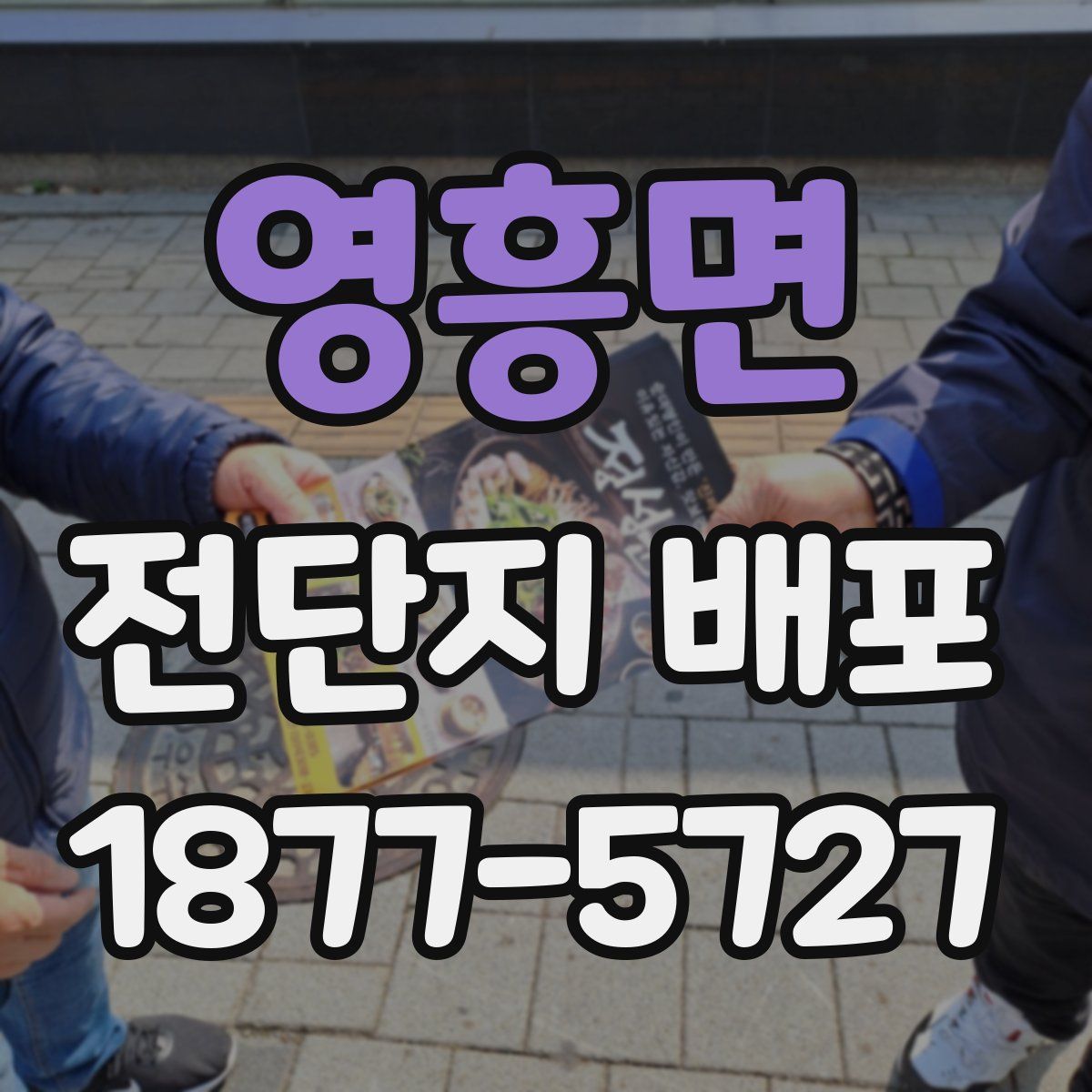 영흥면 전단지 배포