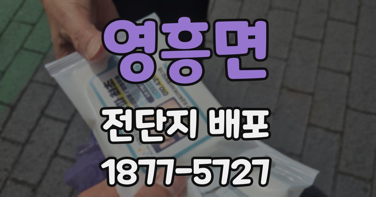 영흥면 전단지 배포