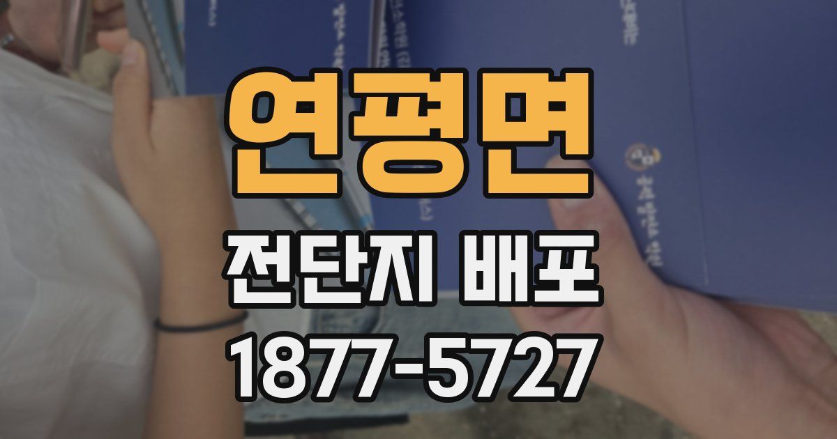 연평면 전단지 배포