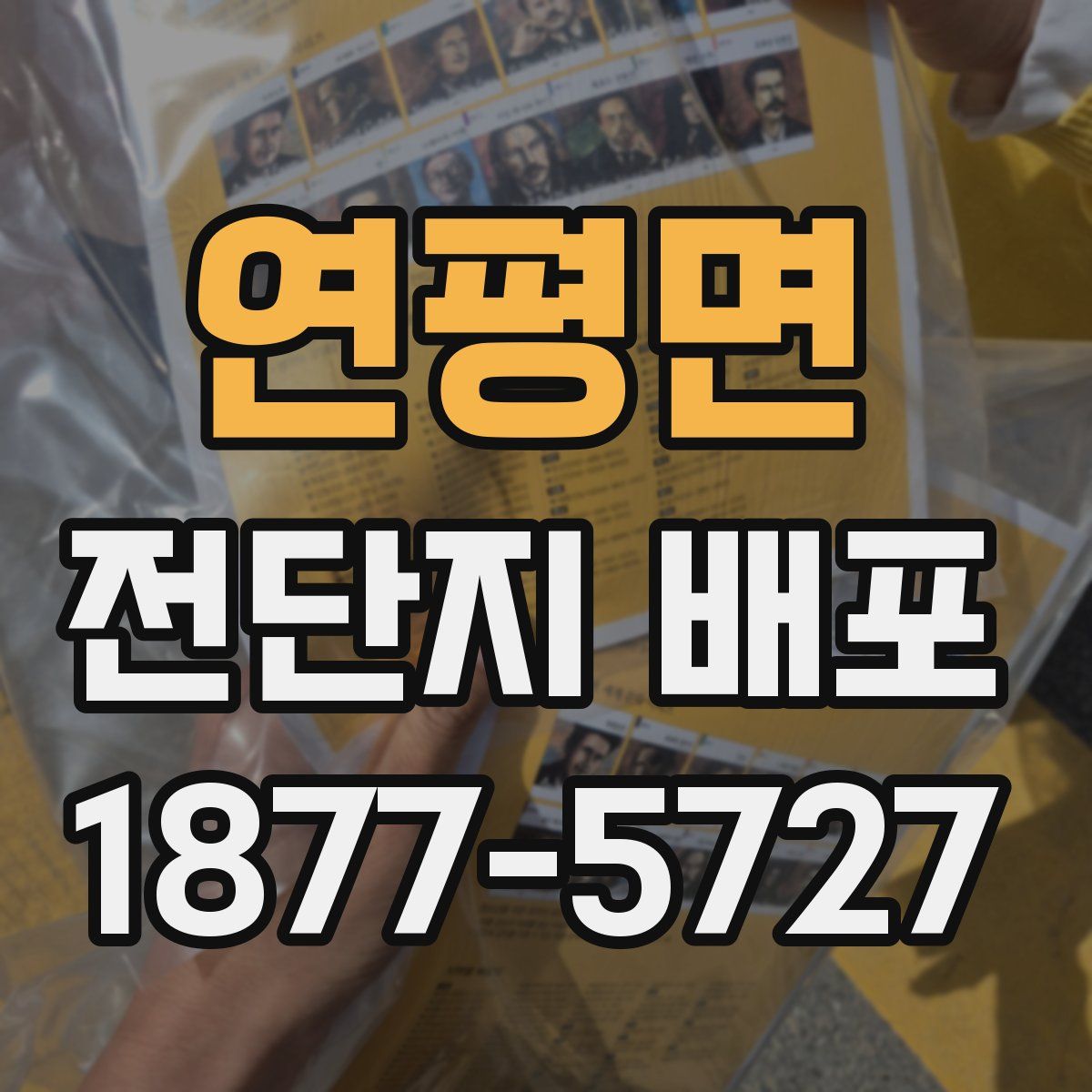 연평면 전단지 배포