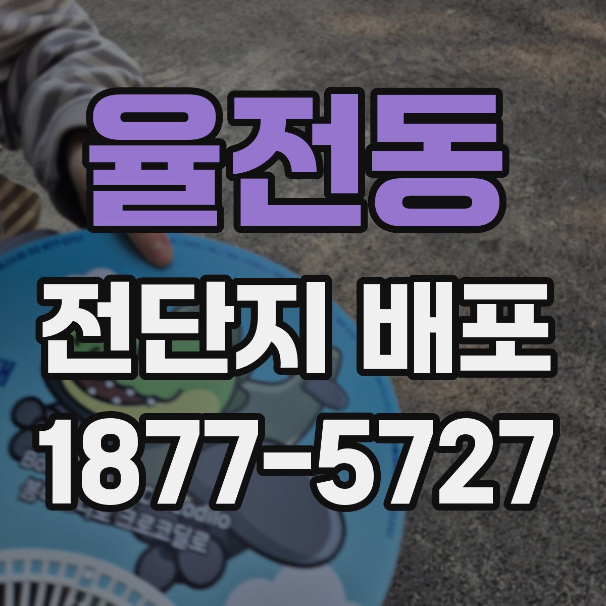 율전동 전단지 배포