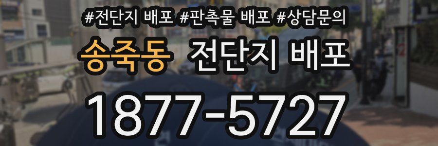 송죽동 전단지 배포