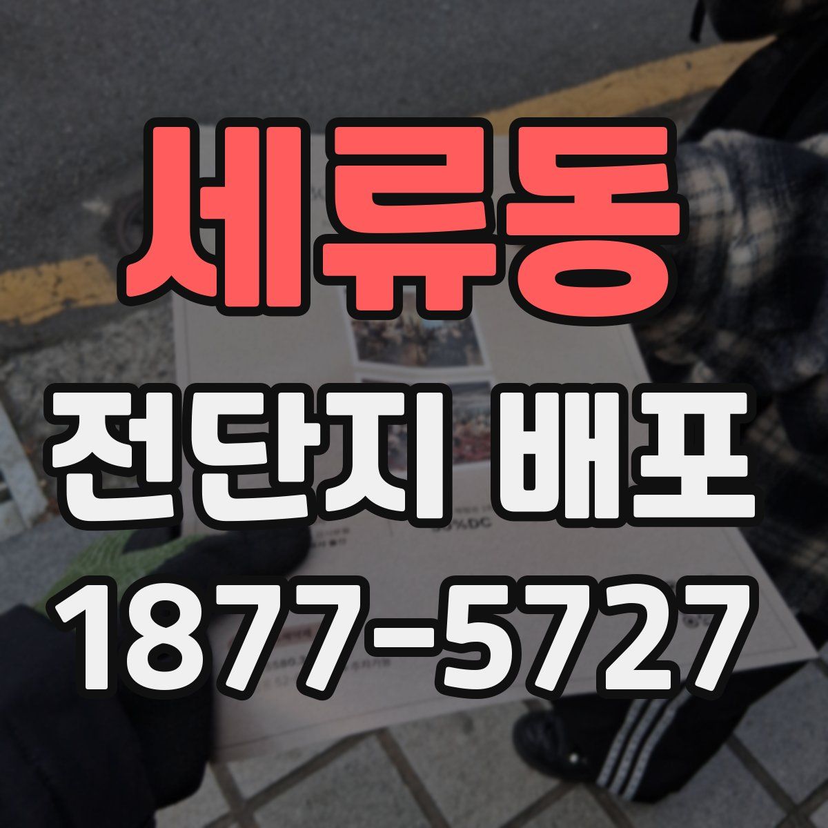 세류동 전단지 배포