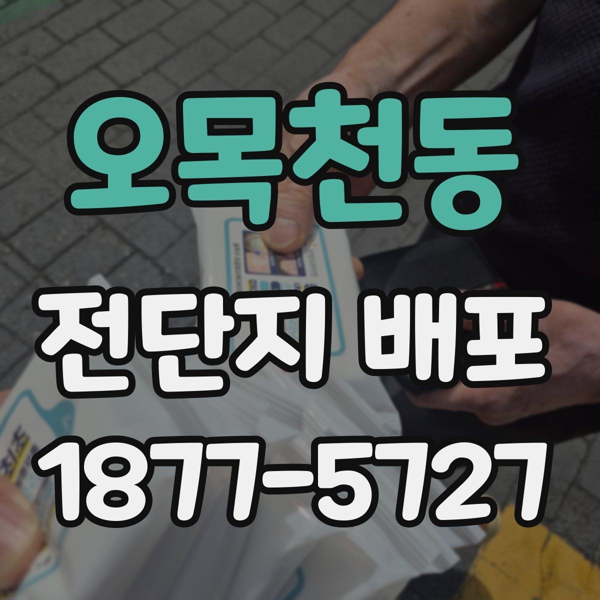 오목천동 전단지 배포