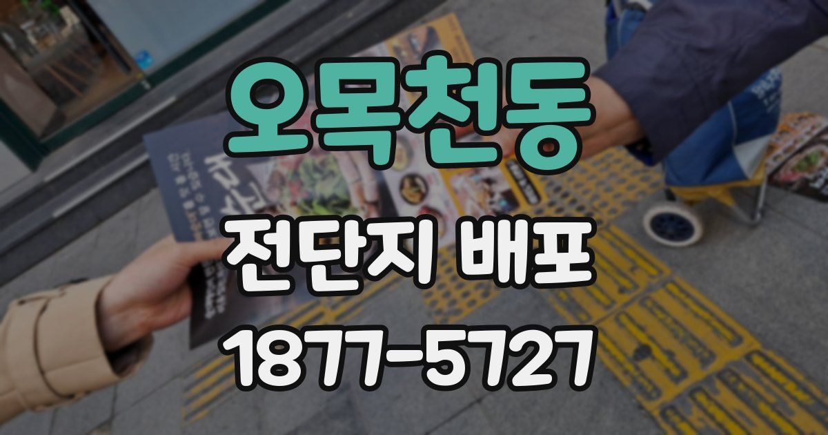 오목천동 전단지 배포