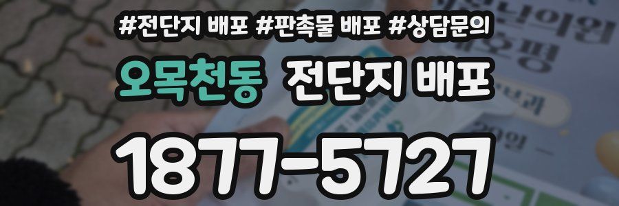 오목천동 전단지 배포