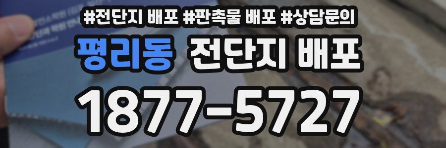 평리동 전단지 배포